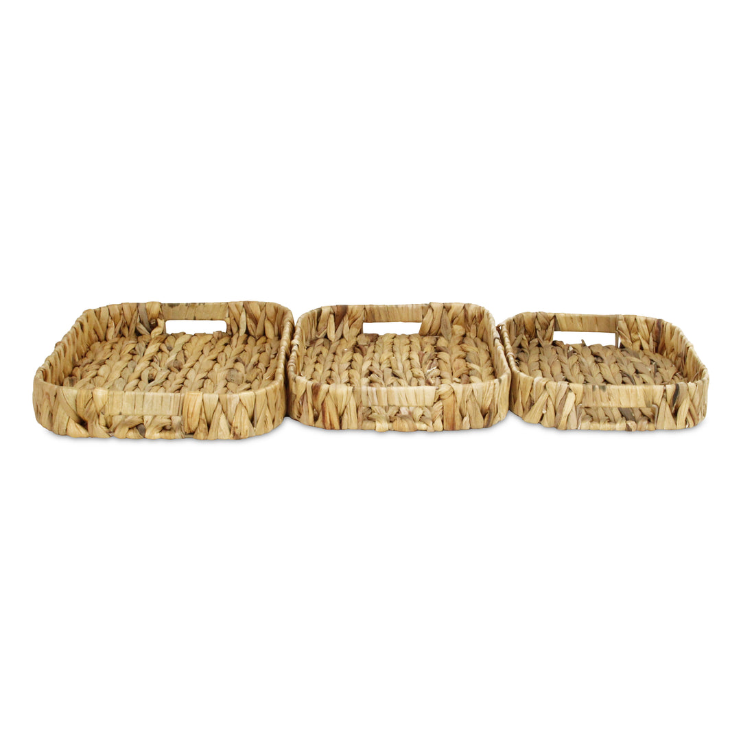 5828-3 - Laelia Hyacinth Trays