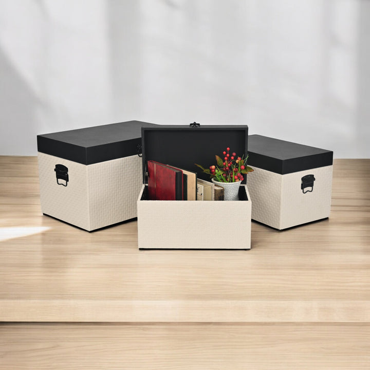 6144-3 - Ellaran Set of 3 Shagreen & Wicker Trunks