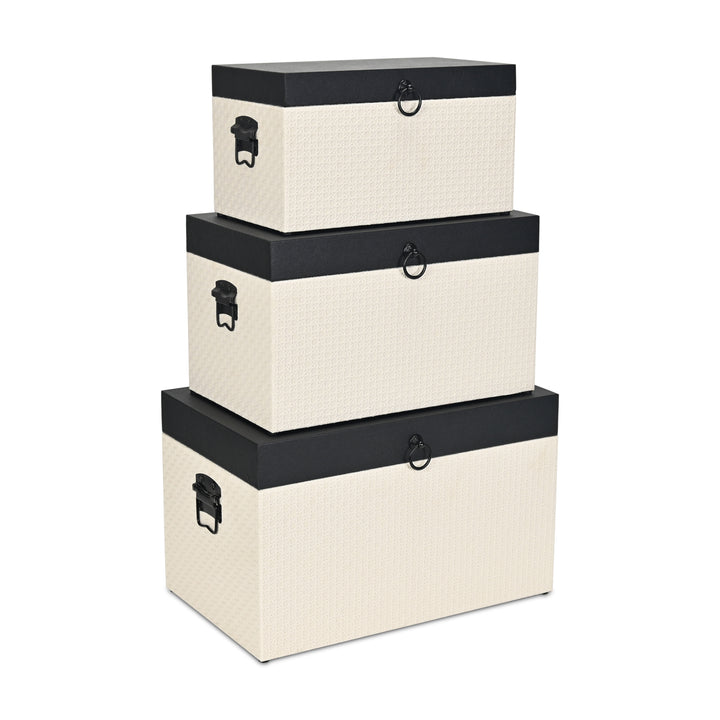 6144-3 - Ellaran Set of 3 Shagreen & Wicker Trunks