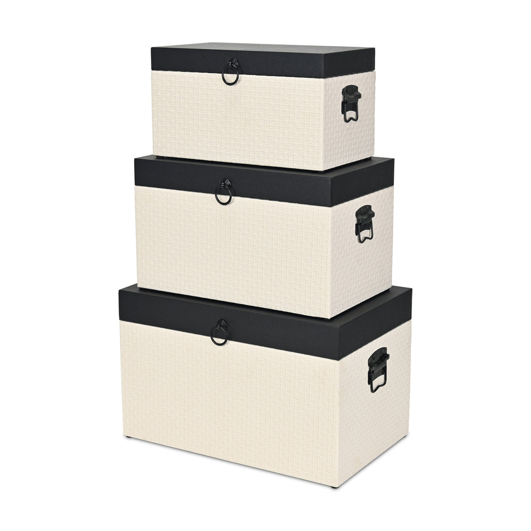 6144-3 - Ellaran Set of 3 Shagreen & Wicker Trunks