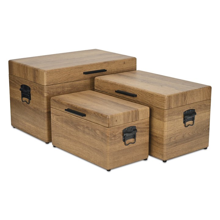 6145-3BR - Sable Set of 3 Trunks - Brown