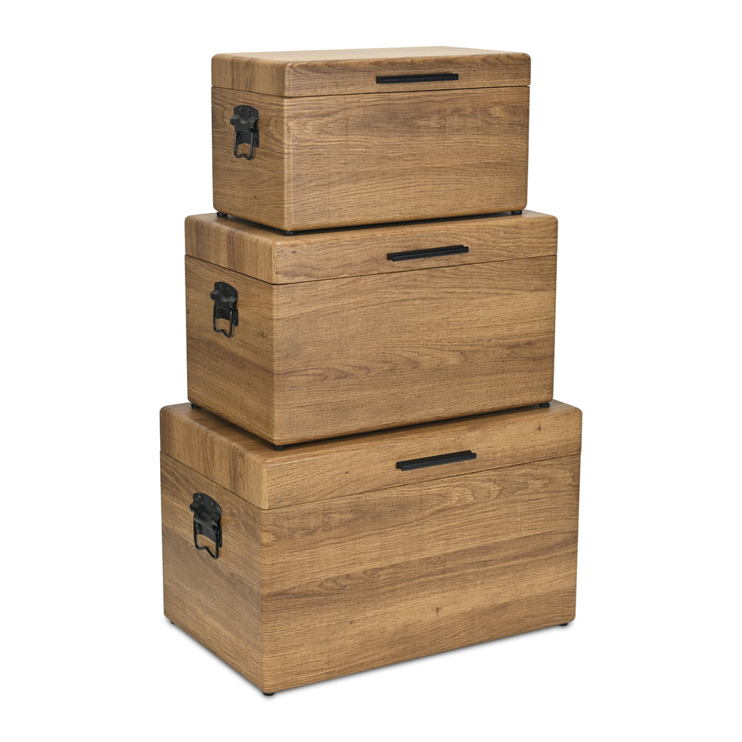 6145-3BR - Sable Set of 3 Trunks - Brown