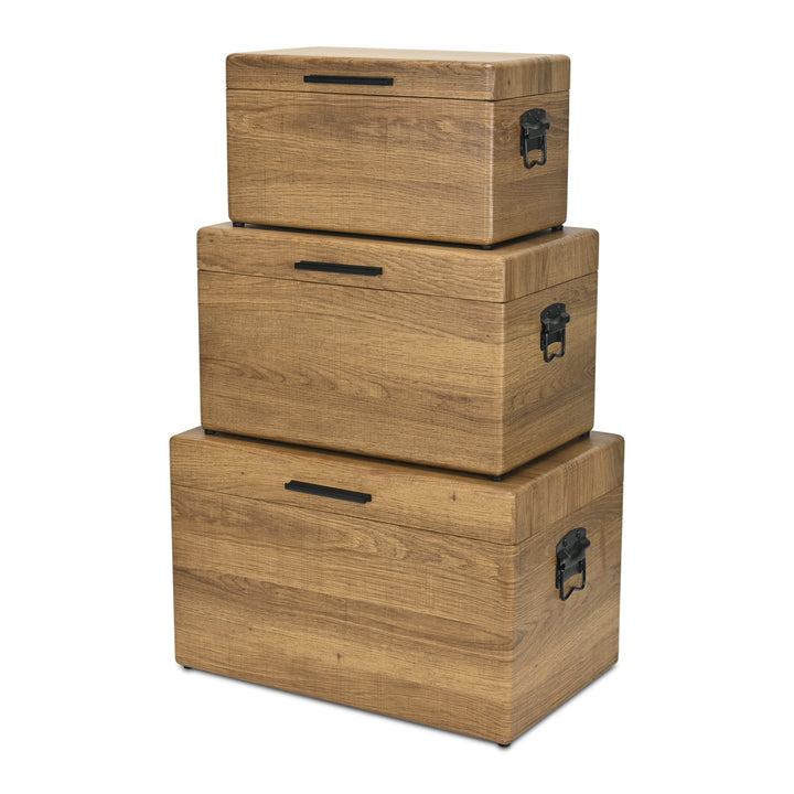 6145-3BR - Sable Set of 3 Trunks - Brown