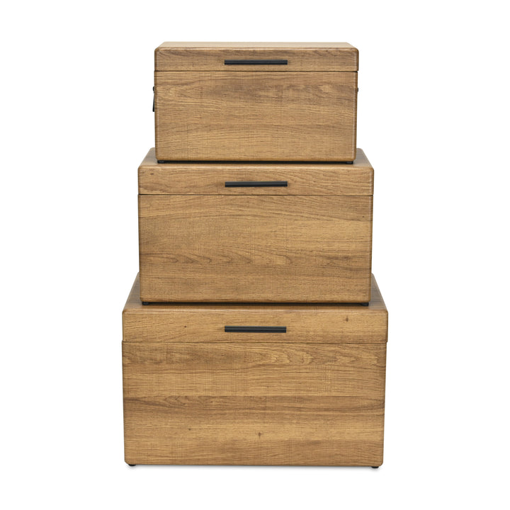 6145-3BR - Sable Set of 3 Trunks - Brown