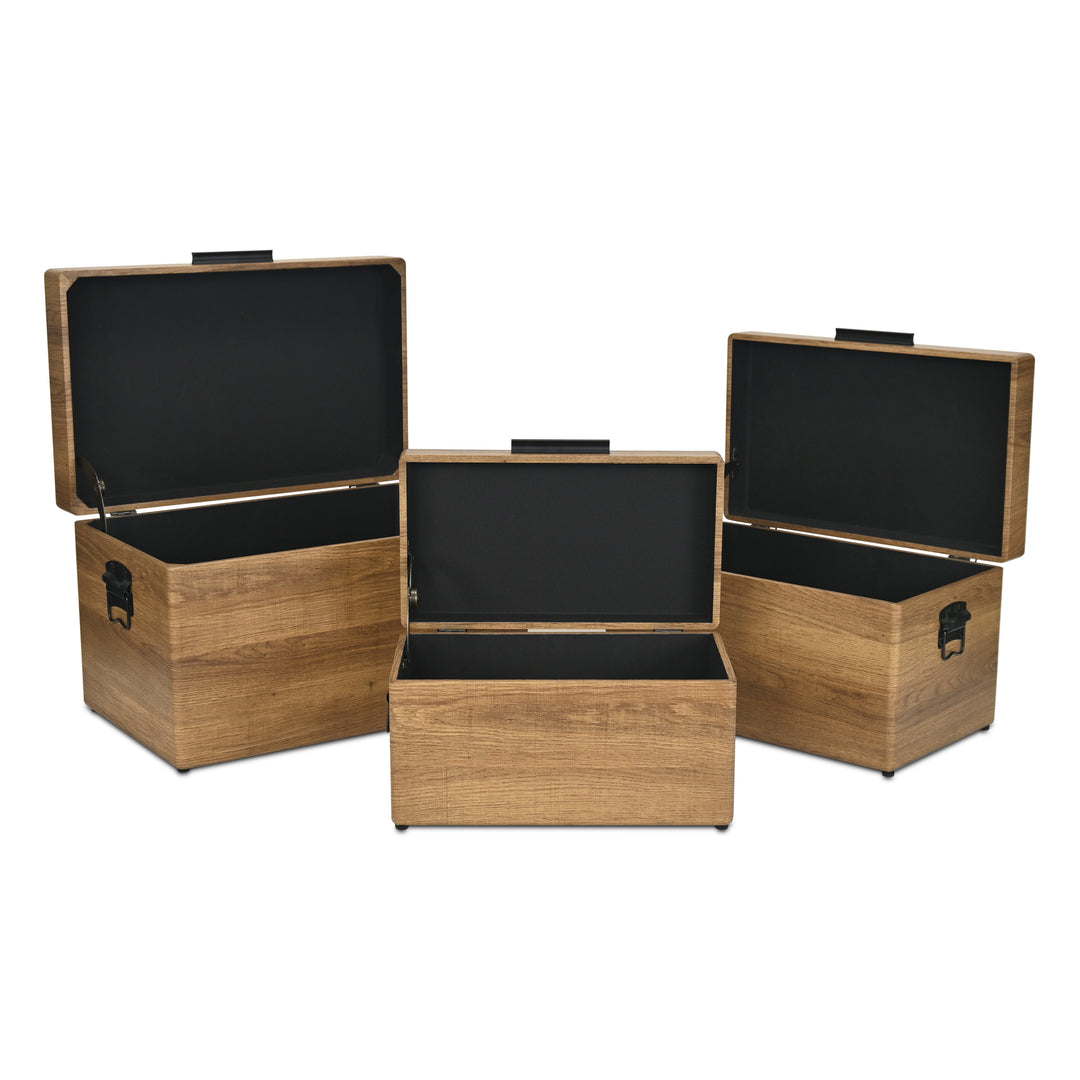 6145-3BR - Sable Set of 3 Trunks - Brown