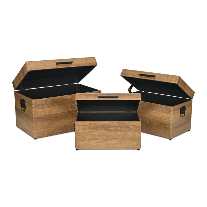 6145-3BR - Sable Set of 3 Trunks - Brown