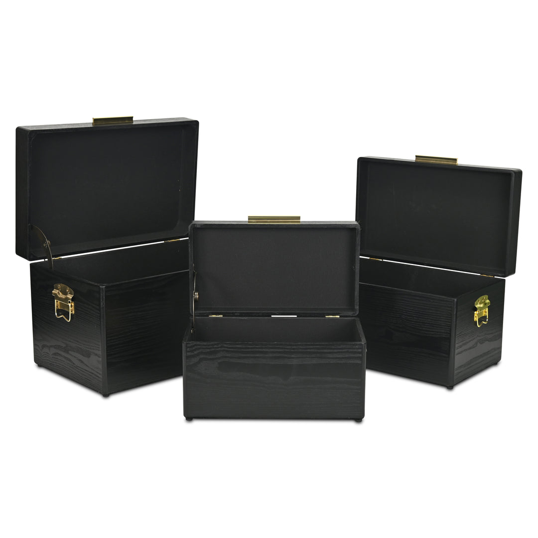 6146-3 - Sable Set of 3 Trunks