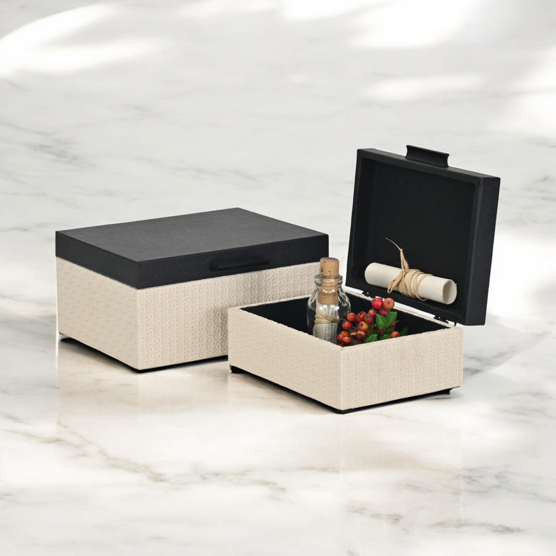 6147-2 - Ellaran Set of 2 Shagreen & Wicker Boxes