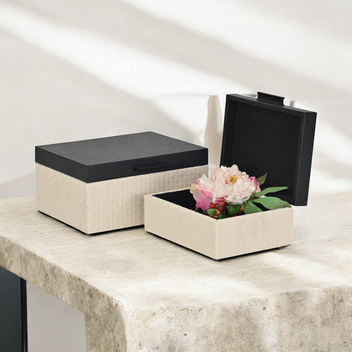 6147-2 - Ellaran Set of 2 Shagreen & Wicker Boxes