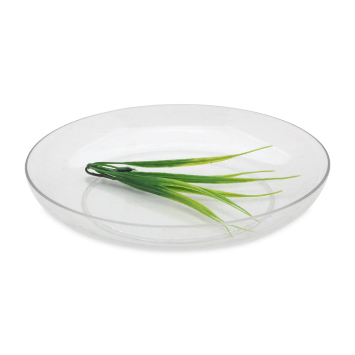 SM-001-09-SP - Sumora Florist Dish - 12"