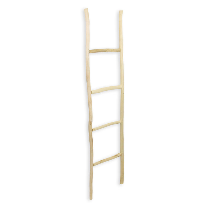 5310 - Theron Wood Ladder - Brown