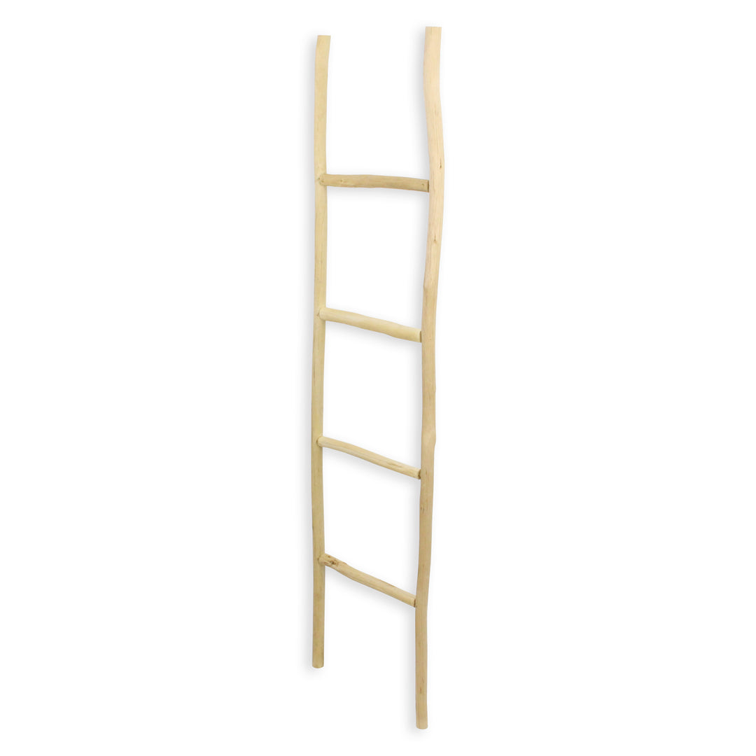 5310 - Theron Wood Ladder - Brown