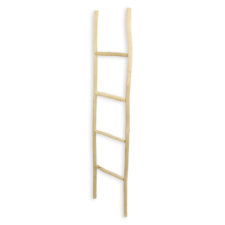 5310 - Theron Wood Ladder - Brown