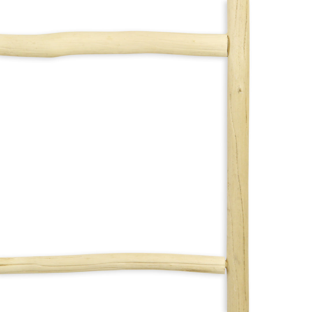 5310 - Theron Wood Ladder - Brown